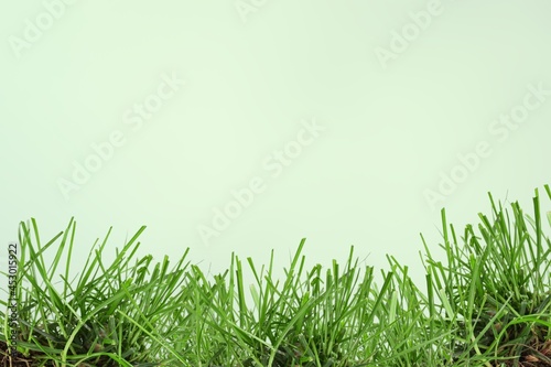 Grass.