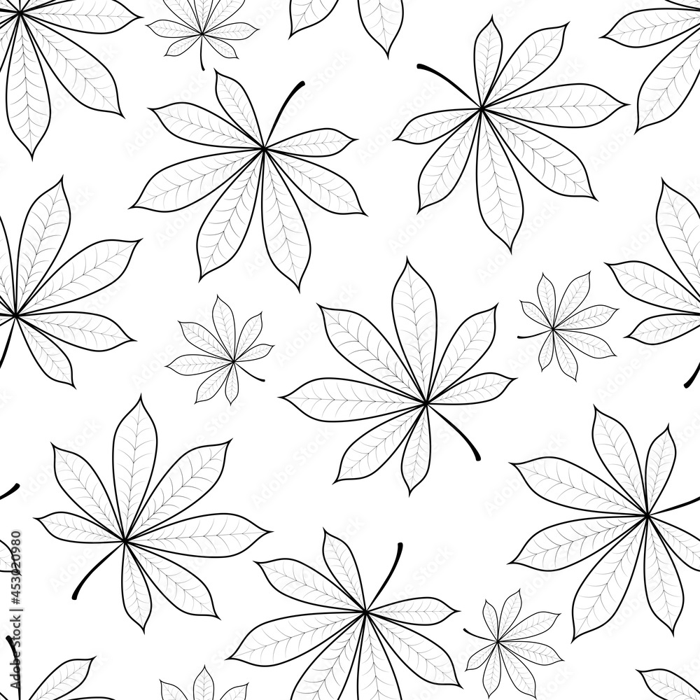 Black and white background. Chestnut leaves on a white background.