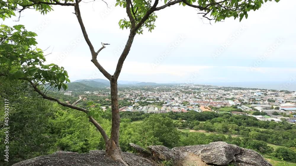 Natural video background on a high mountain overlooking the surrounding landscape, with various trees and large rocks, with the wind blowing through the leaves in a cool blur throughout the journey. Natural video background on a high mountain overlooking the surrounding landscape, with various trees and large rocks, with the wind blowing through the leaves in a cool blur throughout the journey.