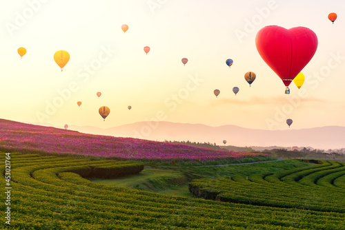 Panorama of mountain with hot air balloons on morning at Thailand.Travel concept .