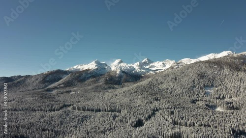 Pokljuka winter wonderland, snow-covered alpine forest; Slovenian Alps photo