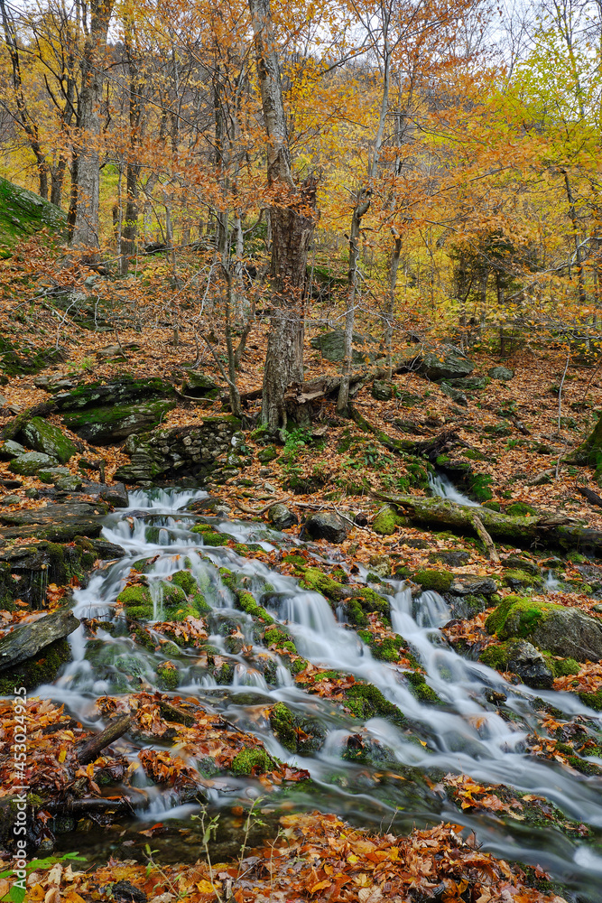 Mossy and leaf filled brooks and stream during the autumn and fall colors of Mt Mansfield area near Stowe Vermont Mossy and leaf filled brooks and stream during the autumn and fall colors of Mt Mansfield area near Stowe Vermont