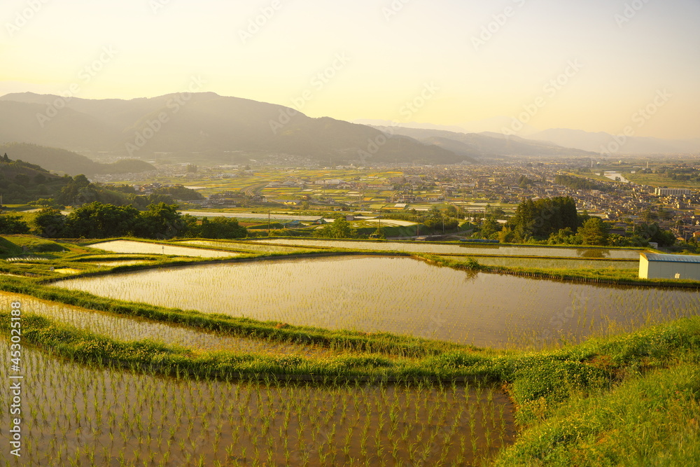 夕暮れ時の棚田の美しい景色 夕暮れ時の棚田の美しい景色