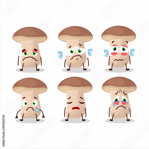 Brown cap boletus cartoon character with sad expression