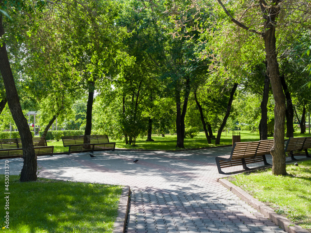Benches in a cozy city park. Summer sunny day. Urban environment