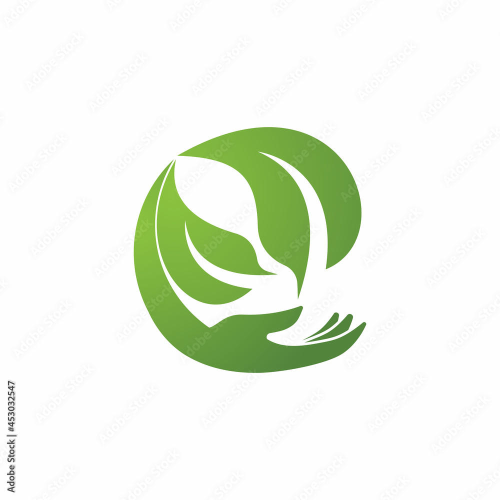 Leaf icon Vector Illustration design Logo template Leaf icon Vector Illustration design Logo template