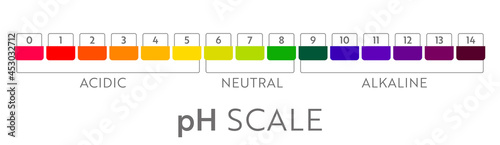 pH Value scale chart. Acid-base balance infographic. Education Poster