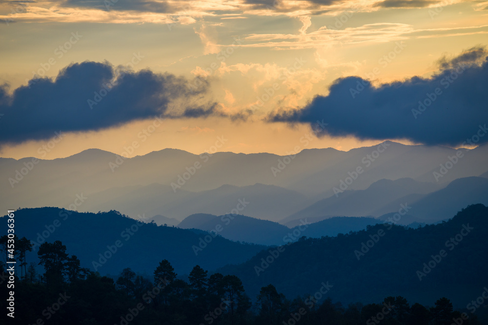 Picture view of mountain and rainforest at sunset, Nature Background
