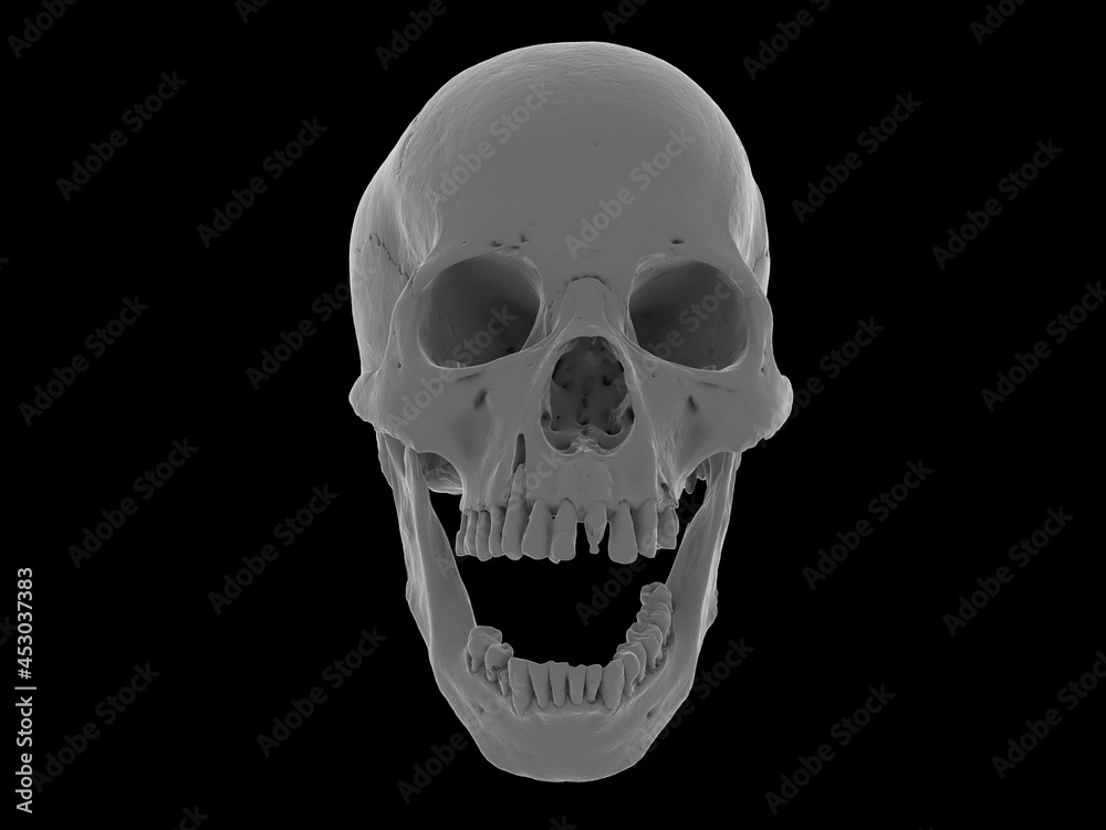 Human skull in fullface a black background. Concept art, death, horror for print, poster. Symbol of spooky Halloween, immortal, pirate. 3d rendering illustration. Graphic Design Human skull in fullface a black background. Concept art, death, horror for print, poster. Symbol of spooky Halloween, immortal, pirate. 3d rendering illustration. Graphic Design