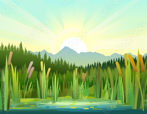 Landscape with a swampy shore of a lake or river. Coast is overgrown with grass, reeds and cattails. Water with water lily leaves. Sunrise from behind the mountains. Wild pond. Vector