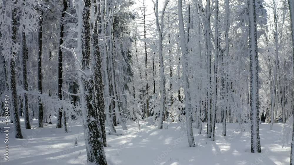 Aerial: Scenic View Of Frozen Trees Over White Landscape In Forest - Thuringia, Germany Aerial: Scenic View Of Frozen Trees Over White Landscape In Forest - Thuringia, Germany