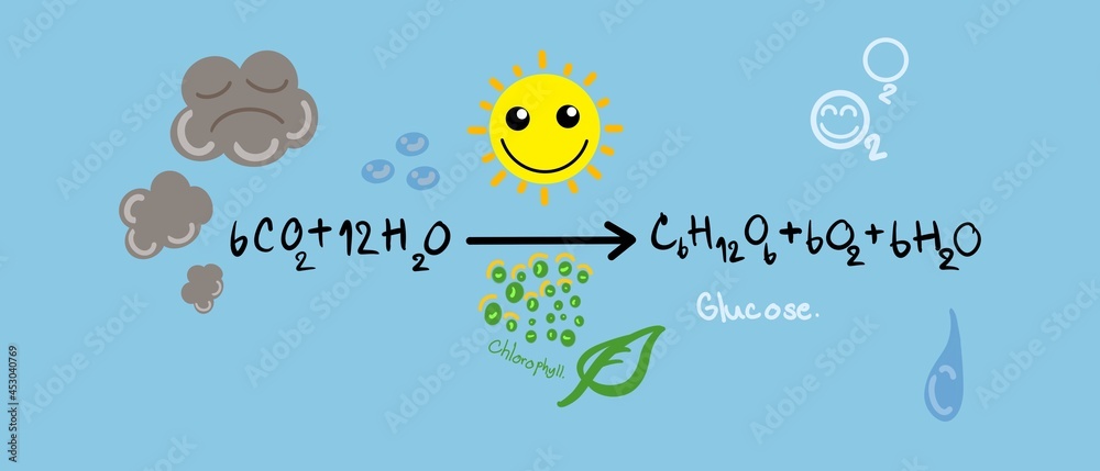 Obraz na płótnie Hand-drawn photosynthesis diagram showing sunlight, carbon dioxide, water, glucose, oxygen, leaf, and plant energy process on a blue classroom background