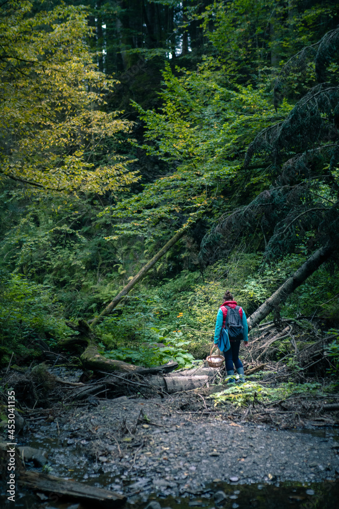 woman with basket walking by forest looking for mushrooms