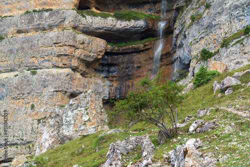 Tree near high waterfall in the mountains photo