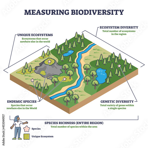 Measuring biodiversity in ecosystem or species at one region outline diagram. Labeled educational biology richness expertise and variety control vector illustration. Unique nature protection and study