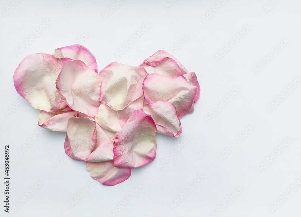 Pink heart made from rose petals on a white background. Valentine's Day. Pink heart made from rose petals on a white background. Valentine's Day.