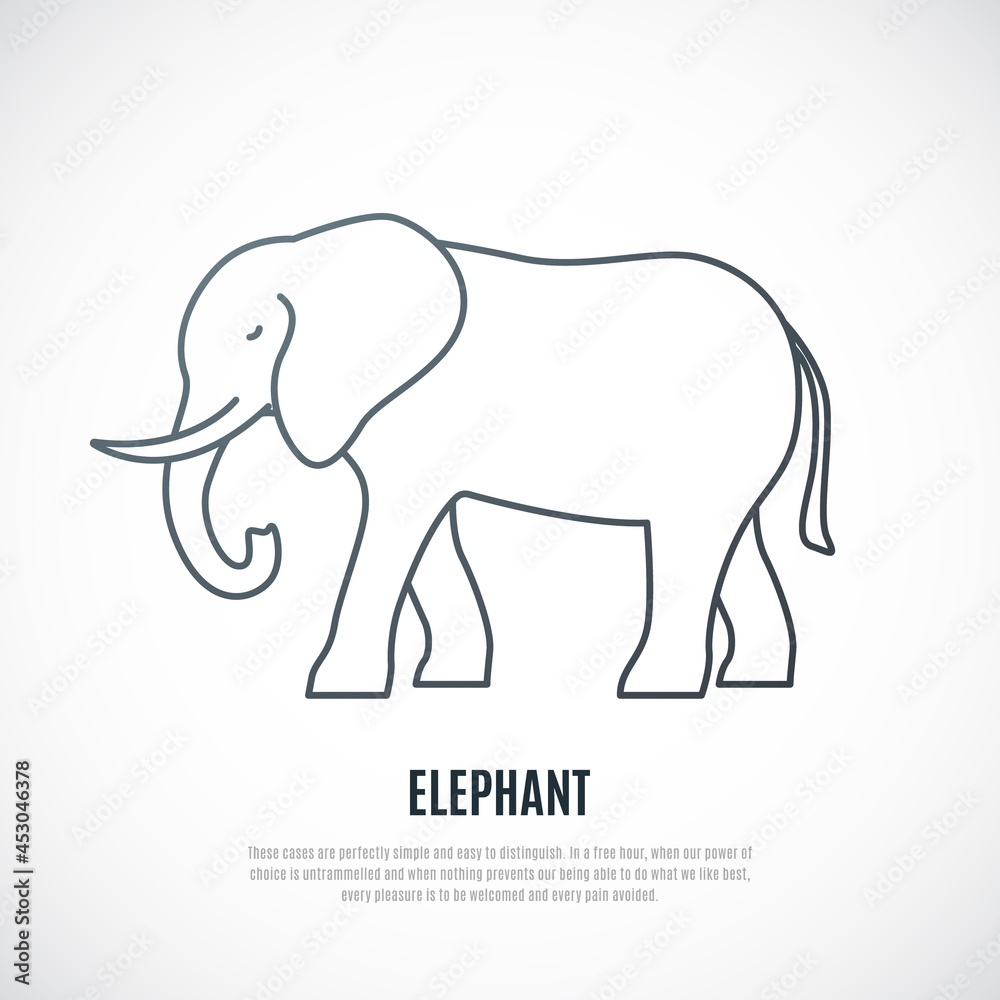 Liner Elephant icon. Simple outline Elephant illustration isolated on white background . Vector emblem.