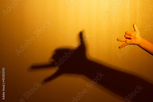 Shadow on wall in shape of fox made by child hand