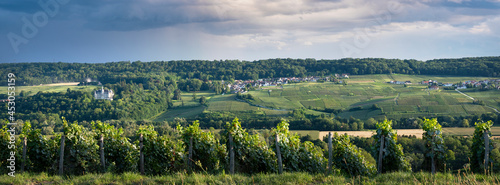 vineyards in marne valley south of reims in french region champagne ardenne photo
