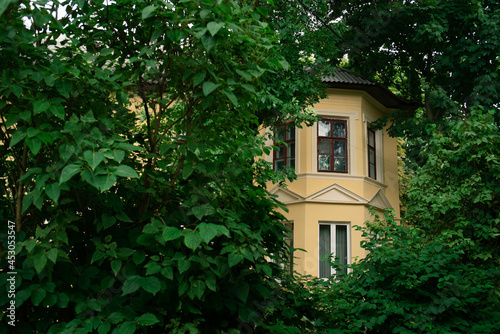 Bay window of an old building with a yellow facade in the foliage of trees