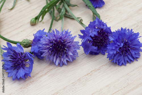 Fototapeta Naklejka Na Ścianę i Meble -  blue cornflowers with selective focus for background or screen saver
