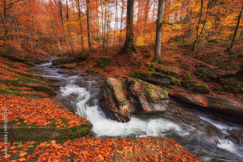 Canvas Print Amazing nature landscape with mountain creek and bizarre stones in the colorful
