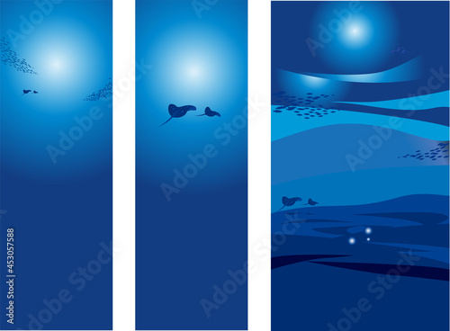 深海とエイ　Deep sea and rays photo
