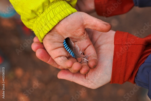 Children brothers holding jay feather in hands