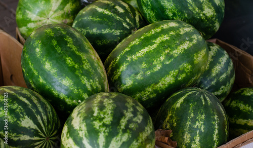 Sale of watermelons and melons. Food market. Agriculture. Trade.