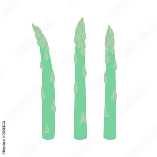 Green asparagus, butch of ripe asparagus sprout.