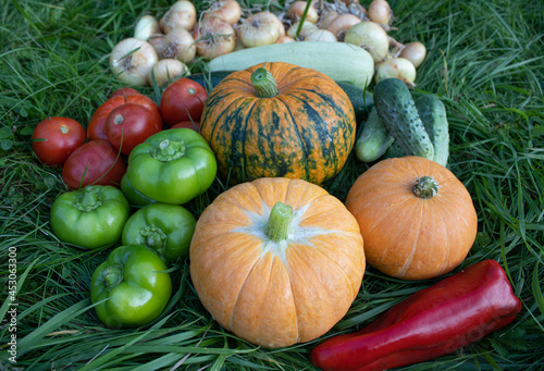 Autumn vegetables, close-up. Pumpkins, green and red paprika, onions, tomatoes and cucumbers are on green grass. Organic food background. The concept of Harvest, Thanksgiving day, Halloween