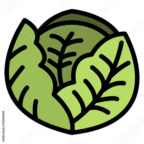 cabbage line icon