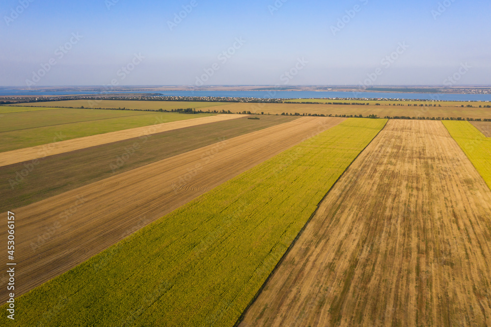 Obraz premium A lot of agruculture fields in long stripes to the horizon in sunny day in Ukraine. Drone photo