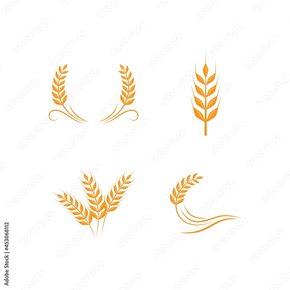 Wheat illustration design