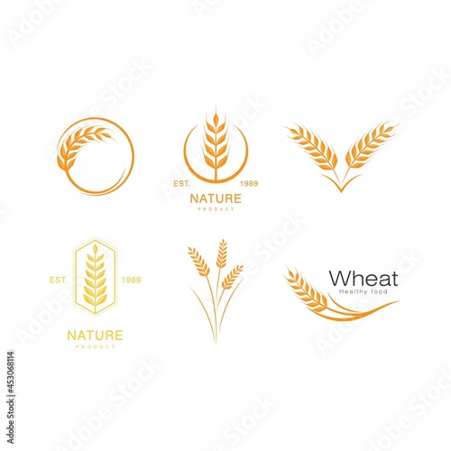 Wheat illustration design