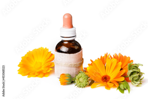 Calendula, medicinal plant, flowers with leaves and seeds isolated on white