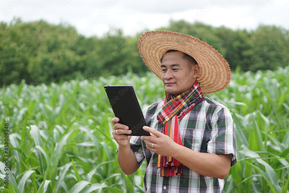 Concept : smart farmer. Using wireless technology to research about agriculture problems. Asian man holds tablet at green corn field.          