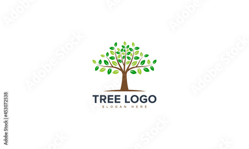 Abstract Tree Logo Vector Template