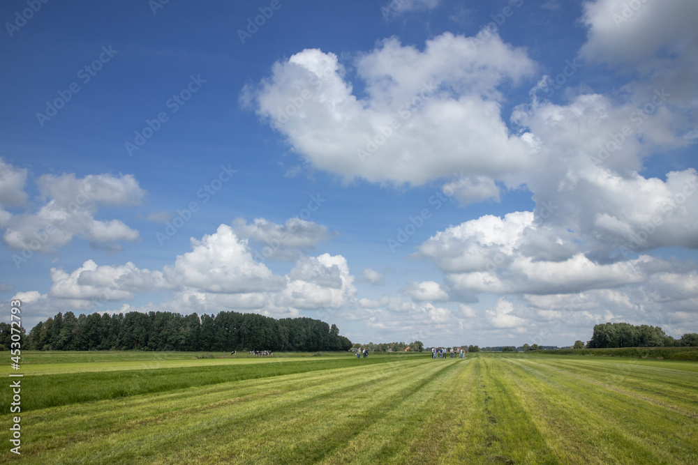 Dutch meadow. Grass just mowed. Clouds