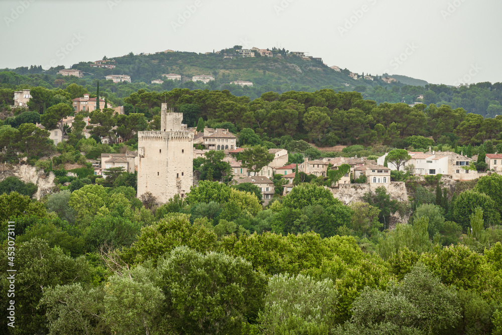 View of a town among green forest with a tower.