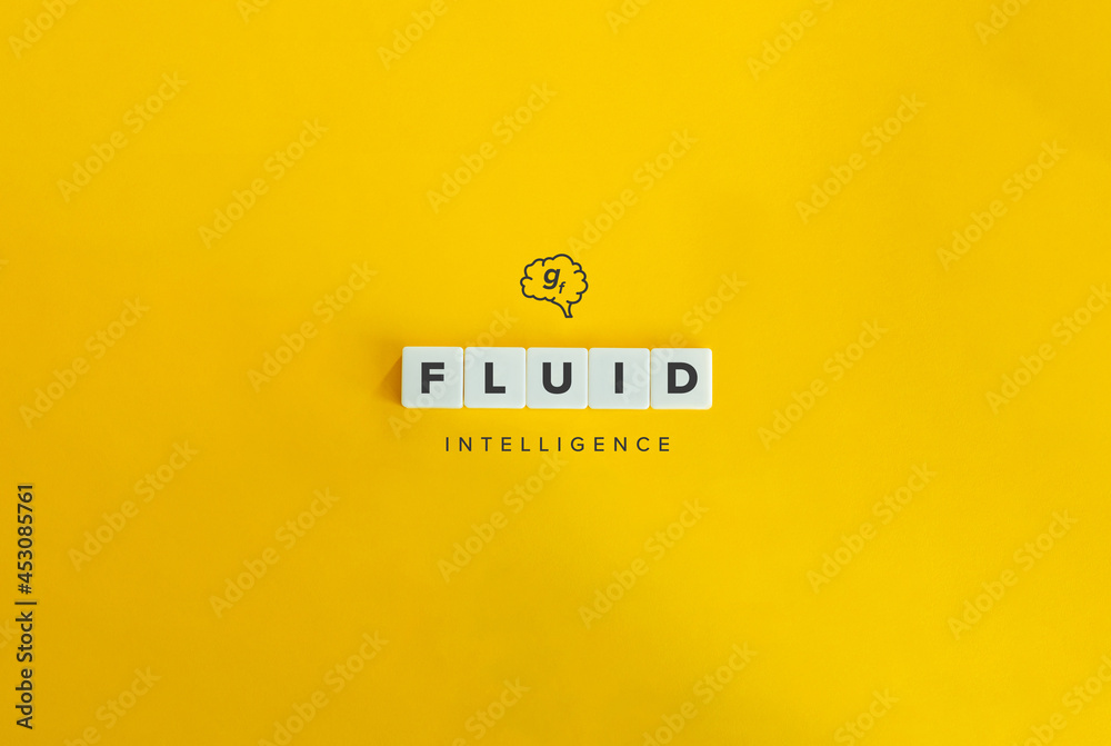Fluid Intelligence Banner. Minimal aesthetics. Fluid Intelligence Banner. Minimal aesthetics.