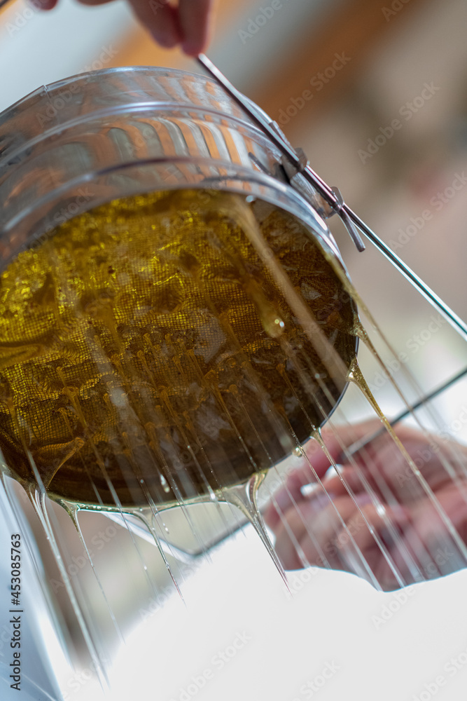 Fototapeta premium Drop of bee honey drip from hexagonal honeycombs