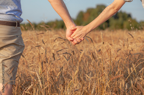 Love concept. A couple holding hand during sunset, a symbol of love and happy relationship. A young couple in love walks through a Wheat field at sunset, holding hands and looking at the sunset