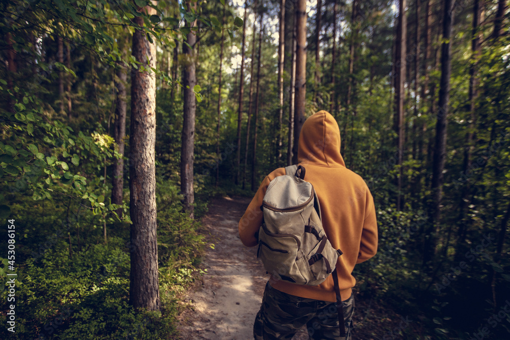 Man hiking with backpack in green forest. Back view