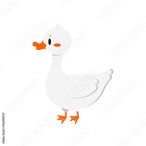 Goose cute domestic duck animal isolated on white background. Funny single goose - farm poultry bird. Flat design cartoon style vector illustration.