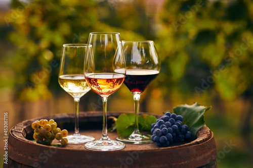 Three glasses of white, rosé and red wine and an old wooden barrel, with winery still life