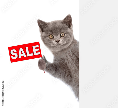 Kitten holds sales symbol behind empty white banner. Empty space for text. Isolated on white background