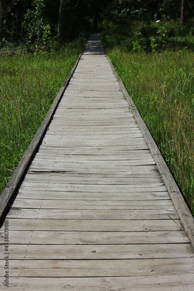 Wooden boardwalk leading straight into the lush summer green meadow. Wooden boardwalk leading straight into the lush summer green meadow.