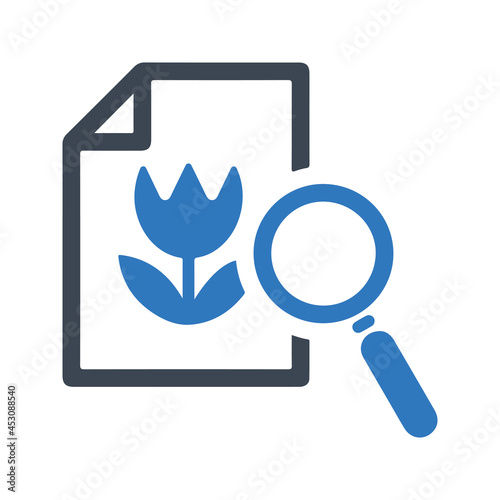 Search image icon. Vector and glyph
