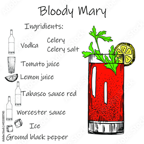 Drink recipe. Bloody Mary. Stock vector illustration